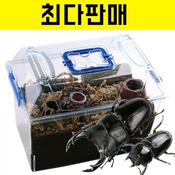 곤충아카데미,왕사슴벌레세트 (71~72mm+45~46mm)